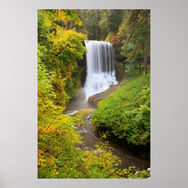 Póster EE.UU., Oregón, Parque Estatal Silver Falls 3 (Frente)