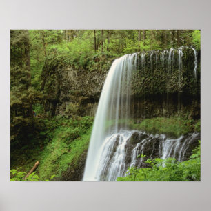 Póster EE. UU., Oregón, Parque Estatal Silver Falls. Infe