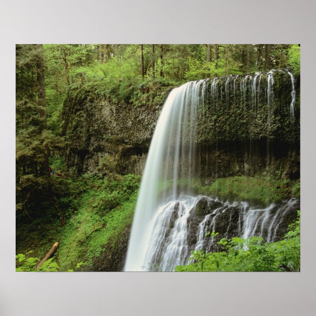 Póster EE. UU., Oregón, Parque Estatal Silver Falls. Infe (Frente)
