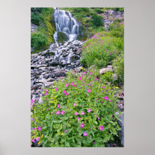 Póster EE. UU., Oregón, Parque Nacional Lago del Cráter