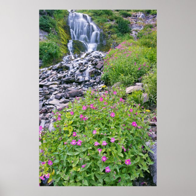 Póster EE. UU., Oregón, Parque Nacional Lago del Cráter (Frente)