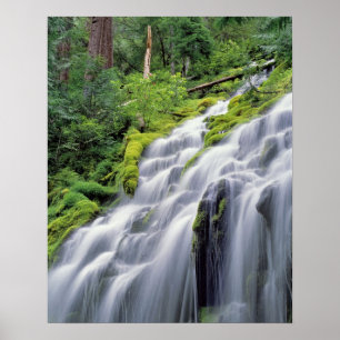 Póster EE. UU., Oregón, Proxy Falls. Proxy Falls se preci