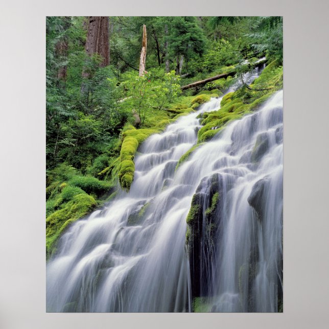 Póster EE. UU., Oregón, Proxy Falls. Proxy Falls se preci (Frente)