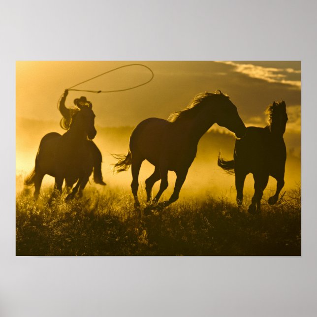 Póster EE. UU., Oregón, Seneca, Ponderosa Ranch. (Frente)