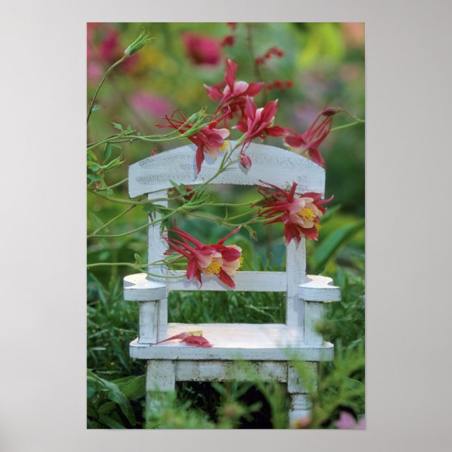 Póster EE.UU., Pennsylvania. Flores y sillas de madera (Frente)