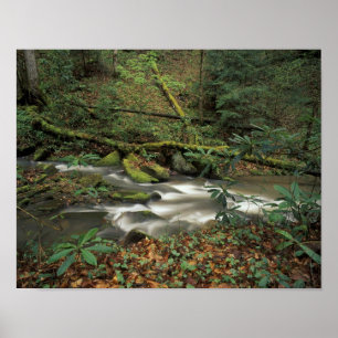 Póster EE. UU., Tennessee. Big South Fork National River