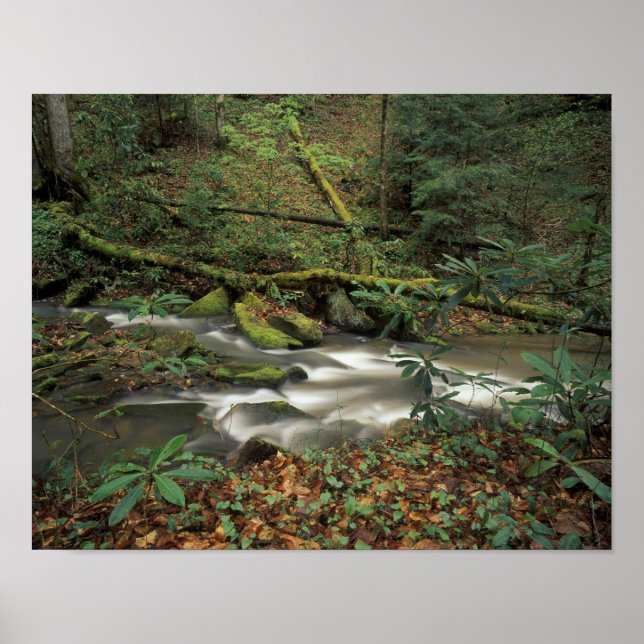 Póster EE. UU., Tennessee. Big South Fork National River (Frente)
