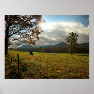 Póster EE.UU., Tennessee. Caballos En El Valle De Cades C