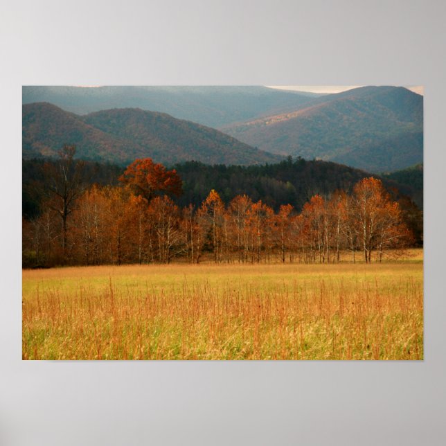 Póster EE.UU., Tennessee. Cades Cove En La Montaña Humean (Frente)