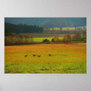 Póster EE.UU., Tennessee. Cades Cove En La Montaña Humean