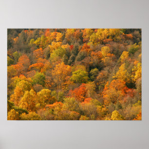 Póster EE.UU., Tennessee. Foligosidad de otoño 2