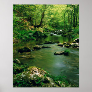 Póster EE. UU., Tennessee, Grandes Montañas Humeantes