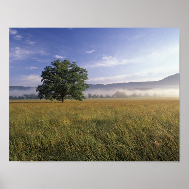 Póster EE. UU., Tennessee. Grandes Montañas Humeantes 3 (Frente)