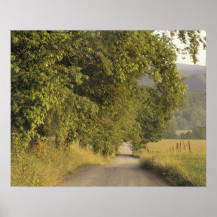 Póster EE. UU., Tennessee, Parque Nacional Grandes Montañ
