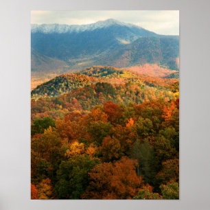 Póster EE. UU., Tennessee. Vista del nevado Monte Leconte