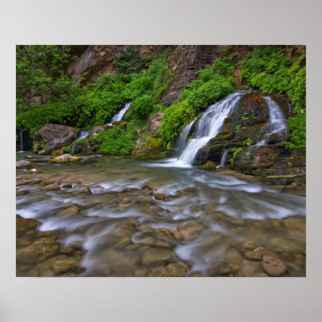 Póster EE. UU., Utah, Parque Nacional Zion. Grandes manan (Frente)