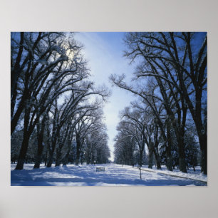 Póster EE.UU., Utah, Salt Lake City, Liberty Park,