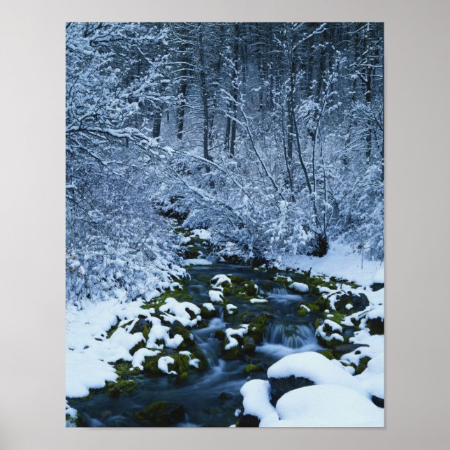 Póster EE.UU., Utah, Wasatch-Catch National Forest, (Frente)