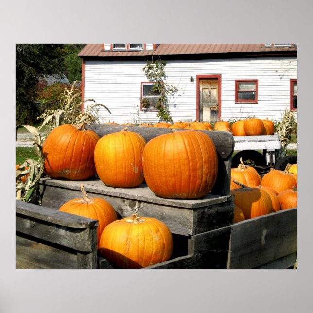 Póster EE. UU., Vermont. Calabazas (Frente)