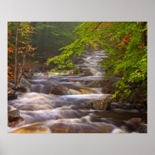 Póster EE.UU., Vermont, East Arlington, Flujos