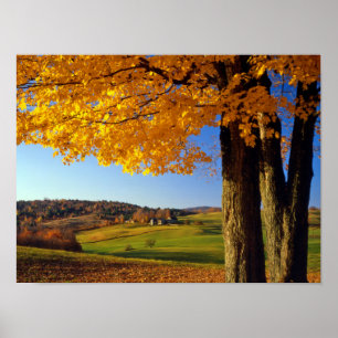 Póster EE. UU., Vermont. Escenario de granja cerca de Sou