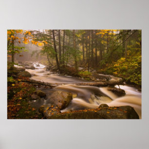 Póster EE.UU., Vermont, Este de Arlington, Fluyendo arroy