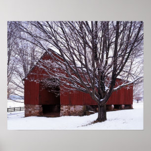 Póster EE.UU., Virginia, Condado de Fairfax, Barn y Maple