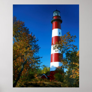 Póster EE.UU., Virginia, Isla Assateague, Chincoteague