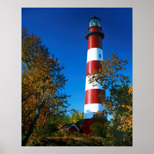 Póster EE.UU., Virginia, Isla Assateague, Chincoteague (Frente)