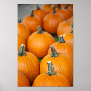 Póster EE.UU., Virginia Occidental, Charleston. Capitolio