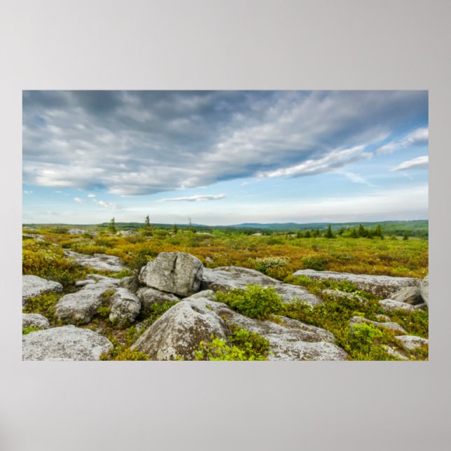 Póster EE.UU., Virginia Occidental, Davis. Paisaje en Dol (Frente)