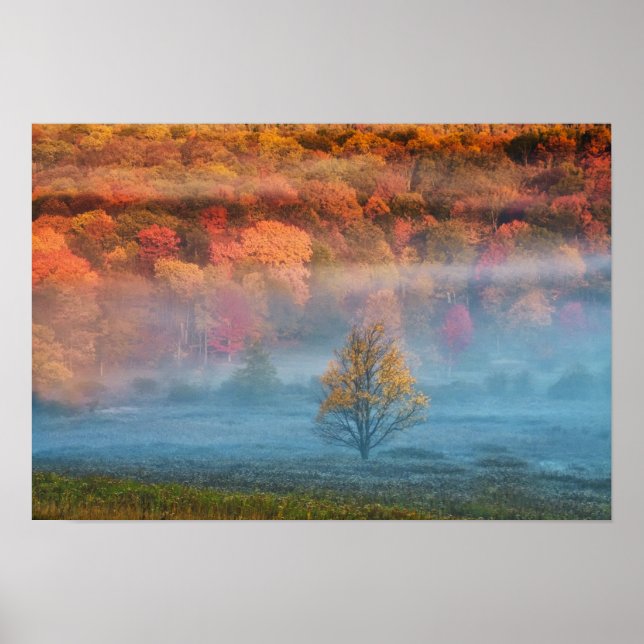 Póster EE.UU., Virginia Occidental, Davis. Valle de Misty (Frente)