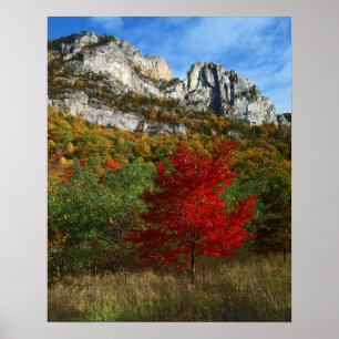 Póster EE.UU., Virginia Occidental, Spruce Knob-Seneca Ro