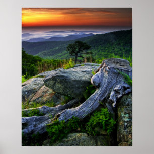 Póster EE. UU., Virginia, Parque Nacional Shenandoah.
