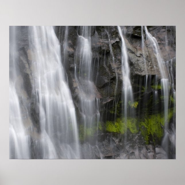 Póster EE. UU., WA, Mt. Rainier NP, Narada Falls (Frente)