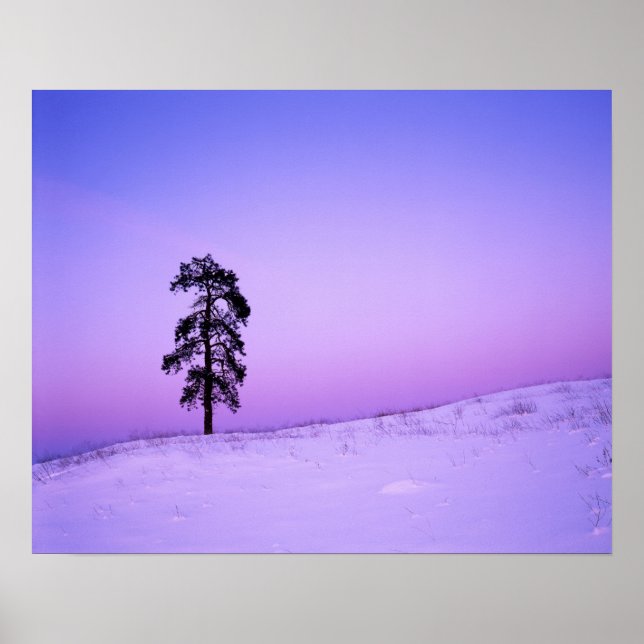 Póster EE. UU., Washington, condado de Spokane, Riverside (Frente)