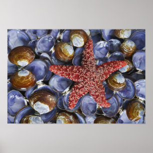 Póster EE. UU., Washington, Hood Canal, Seabeck. Primer p
