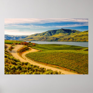 Póster EE.UU., Washington, Lago Chelan. Viñedos de Benson