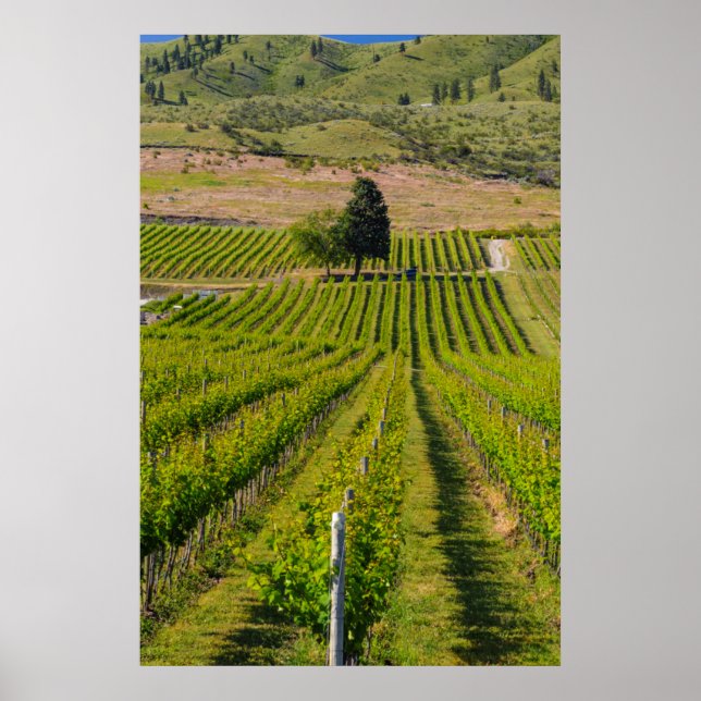 Póster EE.UU., Washington, Lago Chelan. Viñetería 2 (Frente)