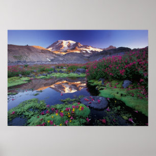 Póster EE. UU., Washington, Mt. Rainier NP, amanecer,