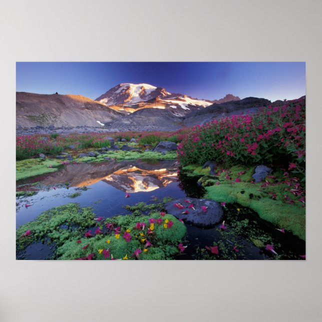 Póster EE. UU., Washington, Mt. Rainier NP, amanecer, (Frente)