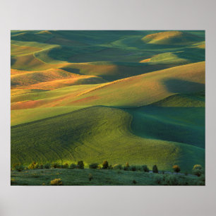 Póster EE.UU., Washington, Palouse, condado de Whitman