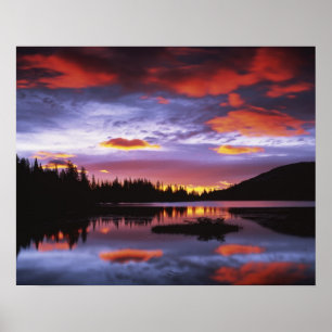 Póster EE. UU., Washington, Parque Nacional Mt. Rainier,
