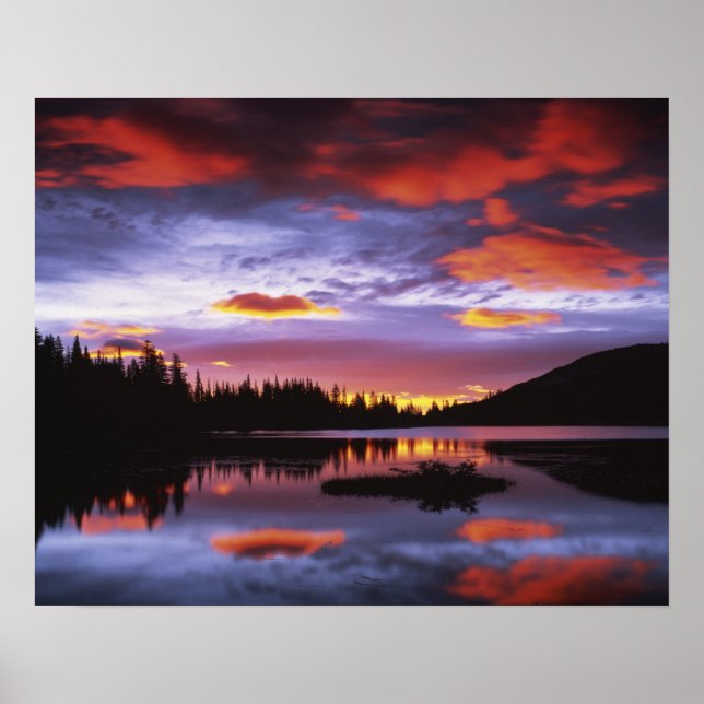 Póster EE. UU., Washington, Parque Nacional Mt. Rainier, (Frente)