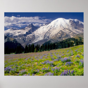 Póster EE. UU., Washington, Parque Nacional Mt. Rainier.
