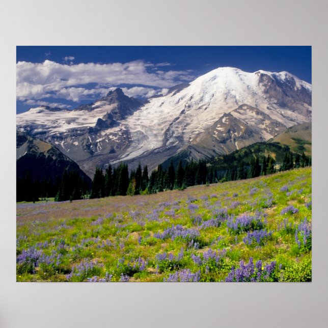 Póster EE. UU., Washington, Parque Nacional Mt. Rainier. (Frente)