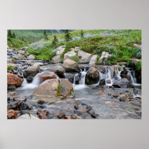 Póster EE. UU., Washington, Parque Nacional Mt. Rainier 3