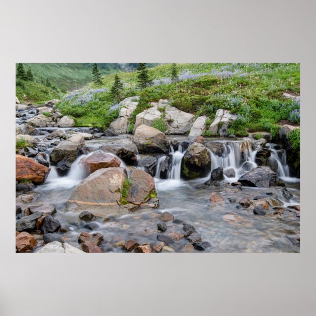 Póster EE. UU., Washington, Parque Nacional Mt. Rainier 3 (Frente)