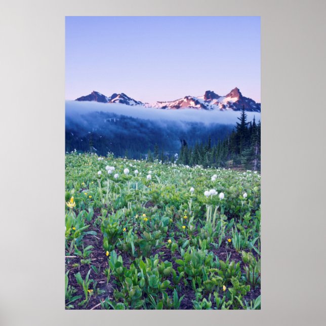 Póster EE. UU., Washington, Parque Nacional Mt. Rainier 4 (Frente)