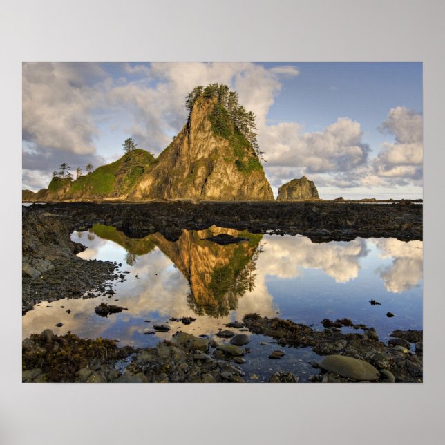 Póster EE. UU., Washington, Parque Nacional Olímpico.  A (Frente)